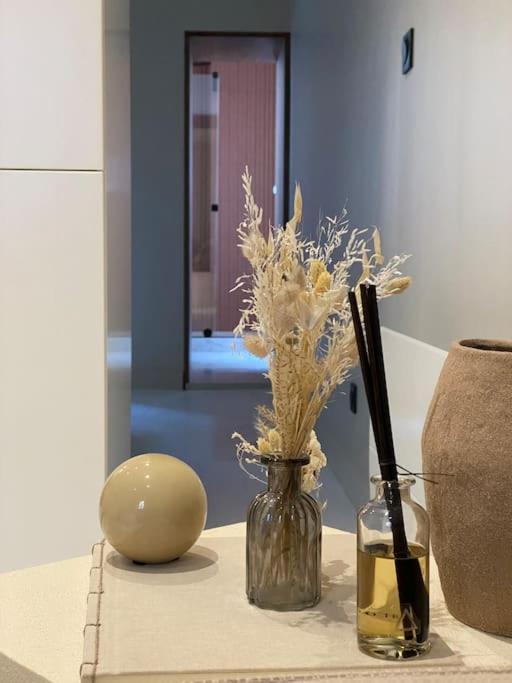 דיז'ון Welcoming, Lovely, Calm & Centrally Located Flat מראה חיצוני תמונה